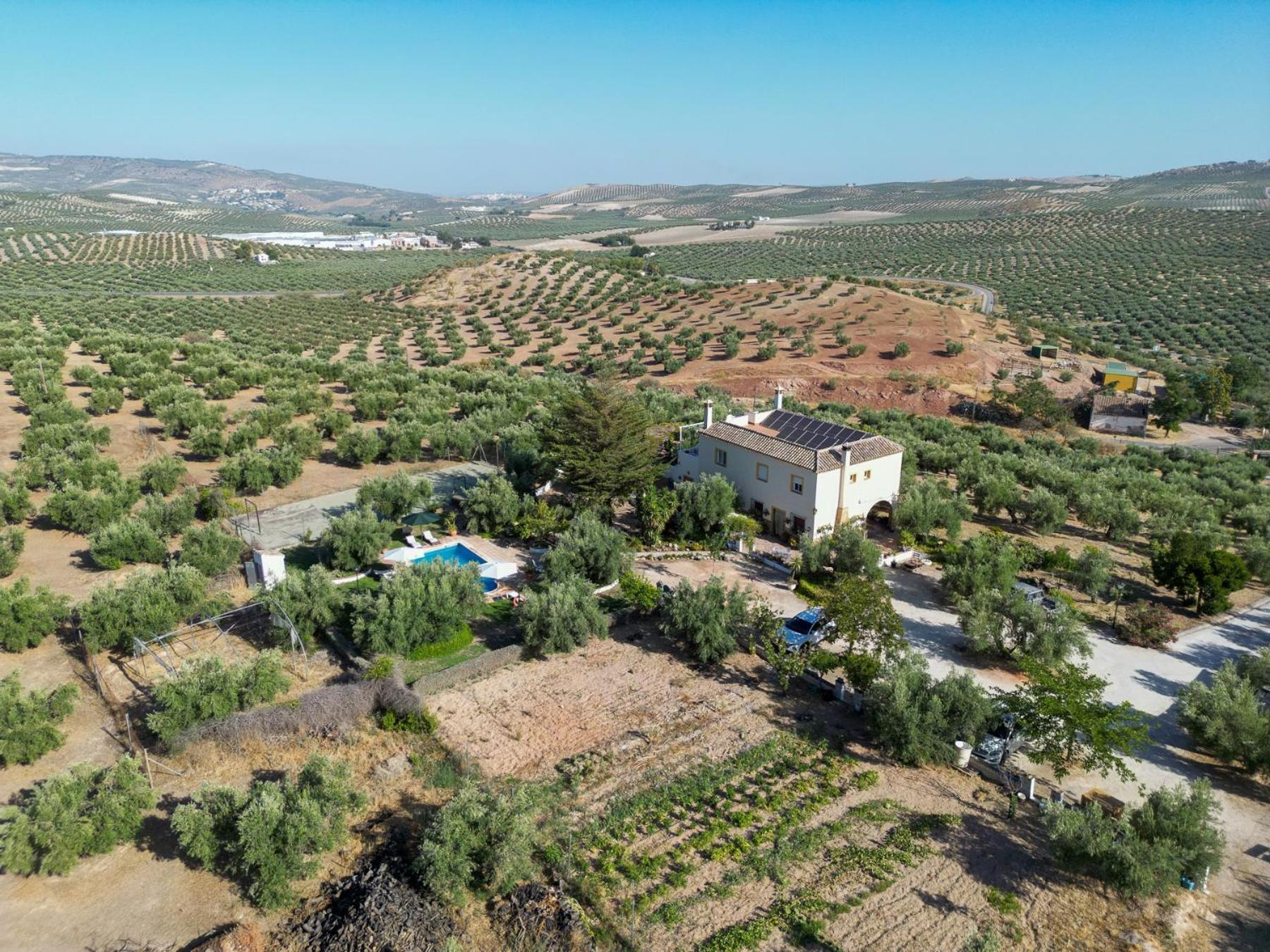 Agroturismo Ecologico El Cortijillo Luque Zewnętrze zdjęcie