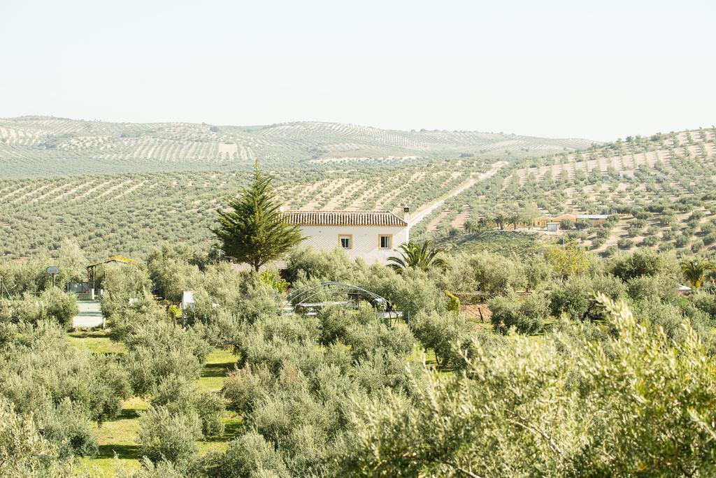 Agroturismo Ecologico El Cortijillo Luque Zewnętrze zdjęcie