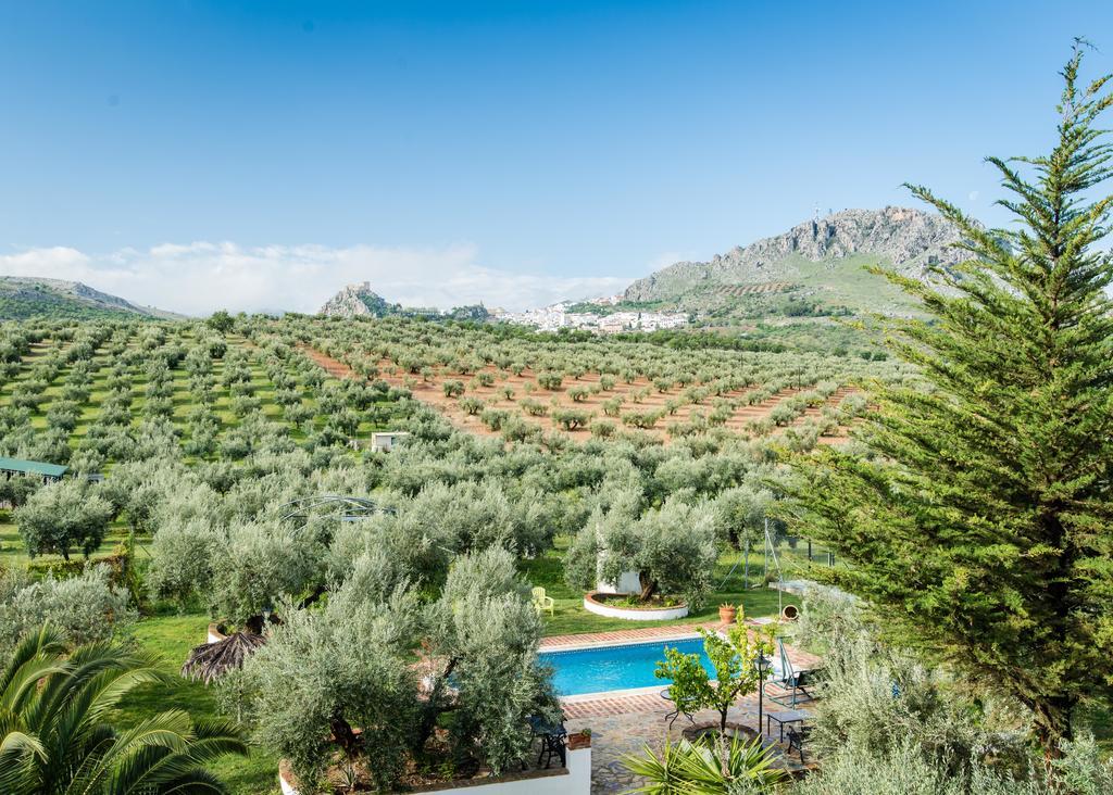 Agroturismo Ecologico El Cortijillo Luque Zewnętrze zdjęcie