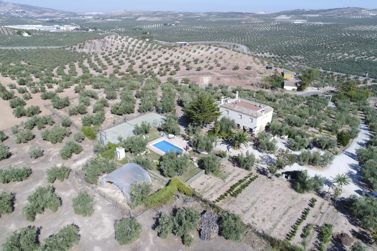 Agroturismo Ecologico El Cortijillo Luque Zewnętrze zdjęcie