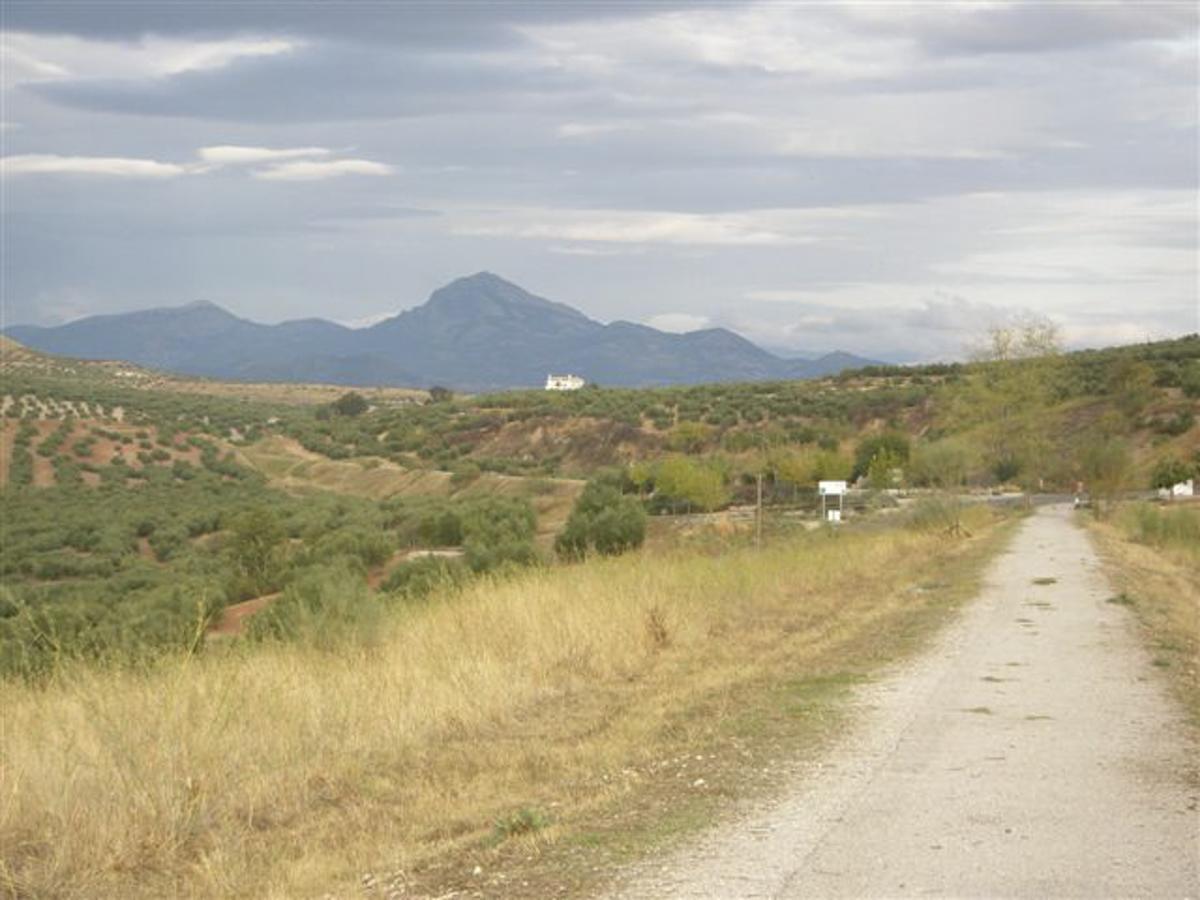 Agroturismo Ecologico El Cortijillo Luque Zewnętrze zdjęcie